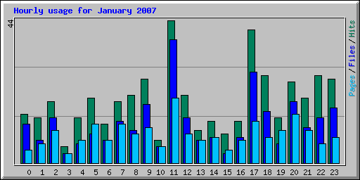 Hourly usage for January 2007